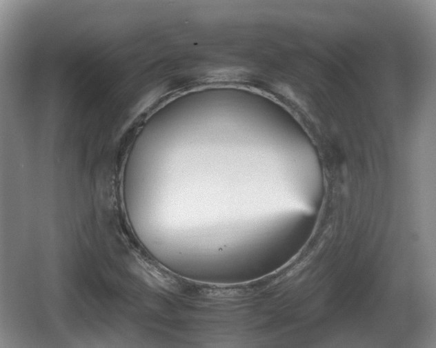 X0000067891211200604171328