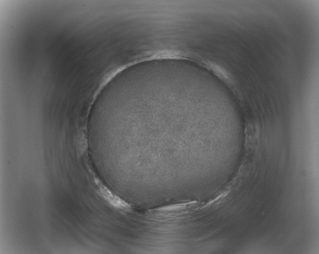 X0000067891212200604171328