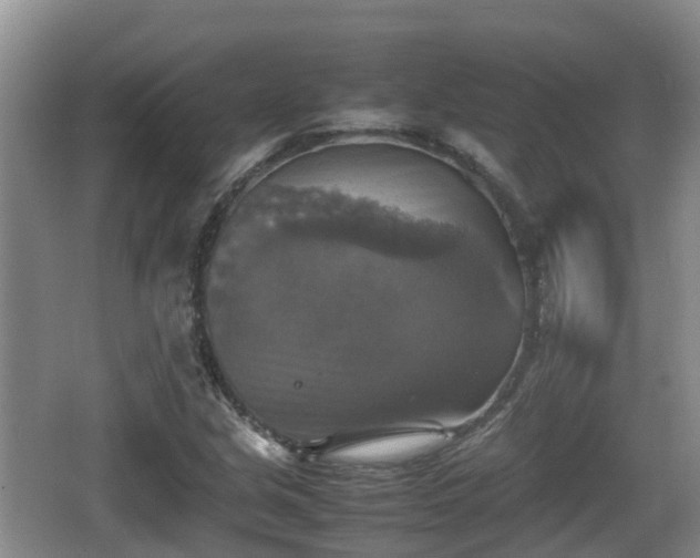 X0000067891213200604171328