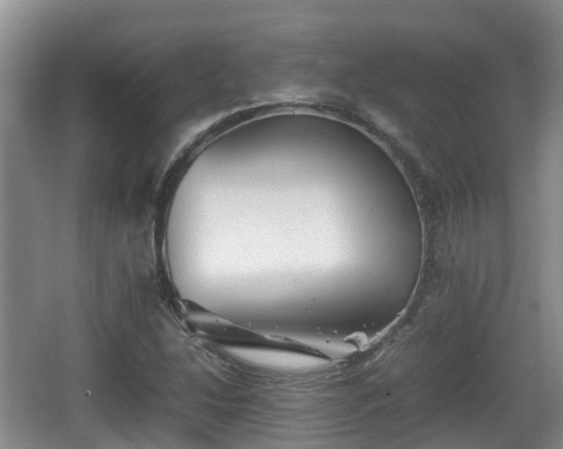 X0000067891214200604171328