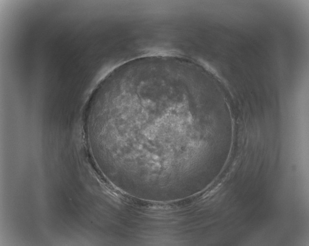 X0000067891215200604171328