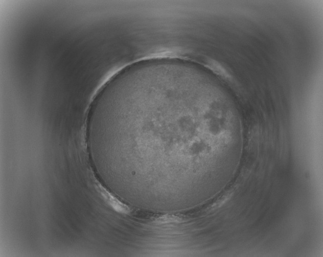 X0000067891216200604171328