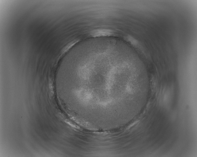 X0000067891217200604171328