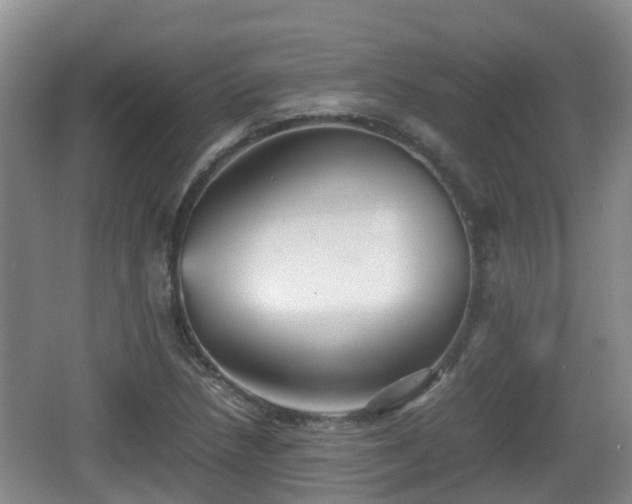 X0000067891218200604171328