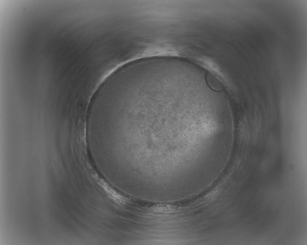 X0000067891220200604171328