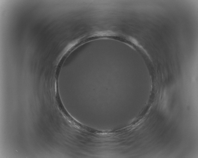 X0000067891221200604171328