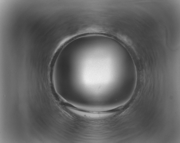 X0000067891222200604171328