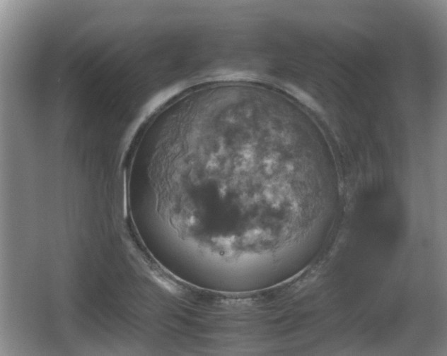 X0000067891223200604171328