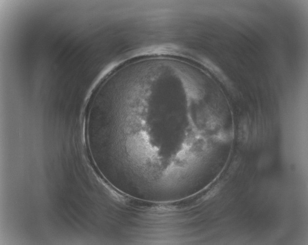 X0000067891224200604171328