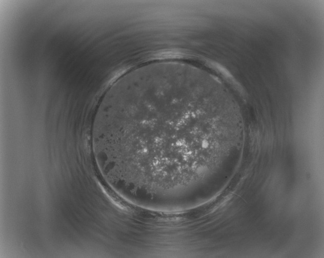 X0000067891225200604171328