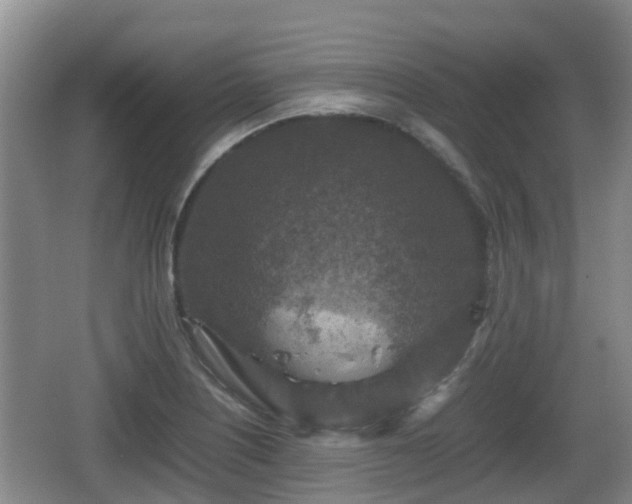 X0000067891226200604171328