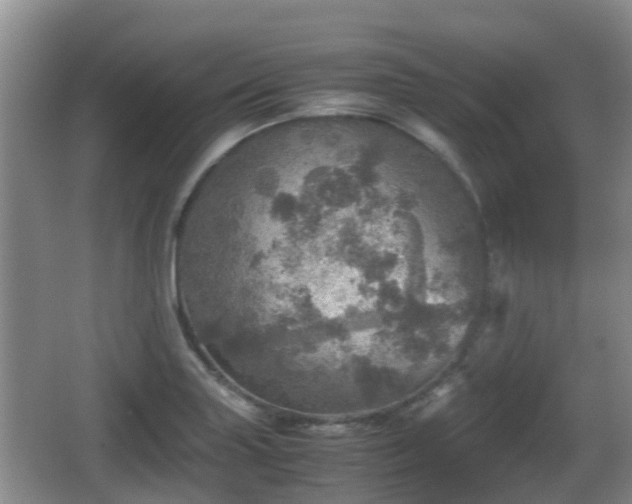 X0000067891227200604171328