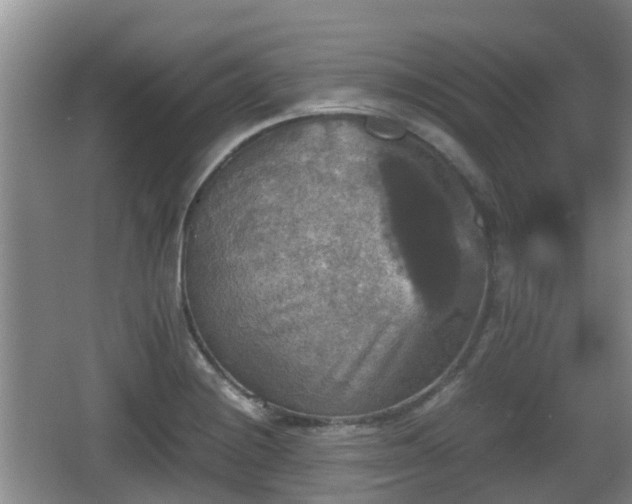 X0000067891228200604171329