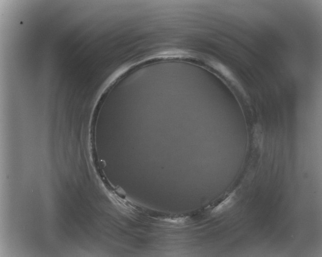 X0000067891229200604171329