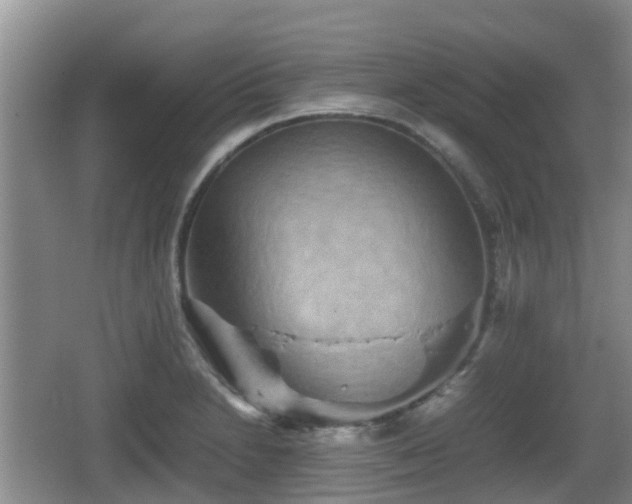 X0000067891230200604171329