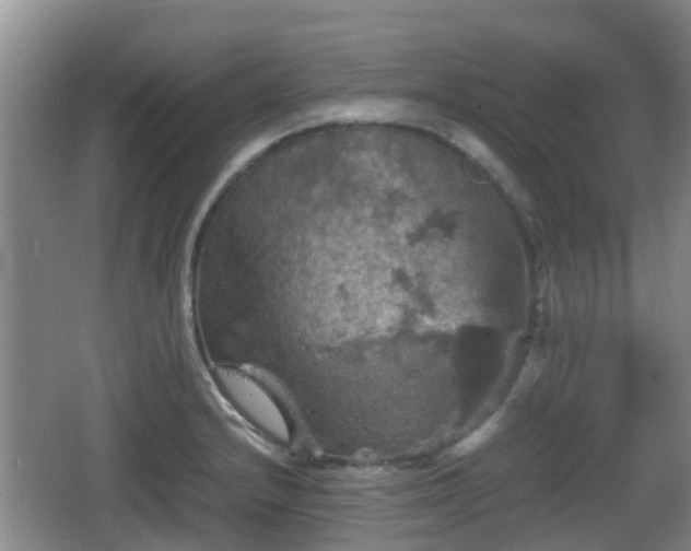 X0000067891232200604171329