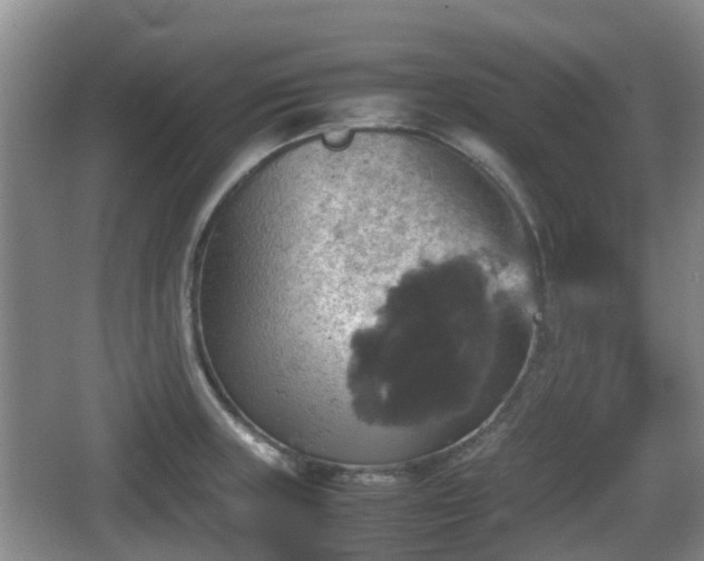 X0000067891235200604171329