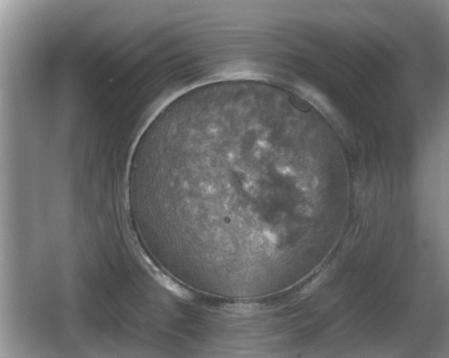 X0000067891236200604171329