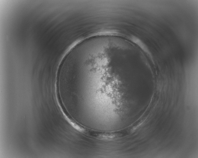 X0000067891237200604171329