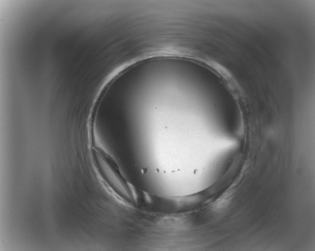 X0000067891238200604171329