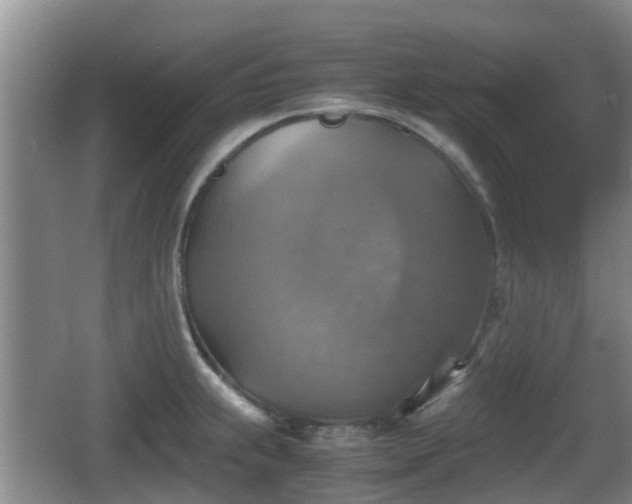 X0000067891239200604171329