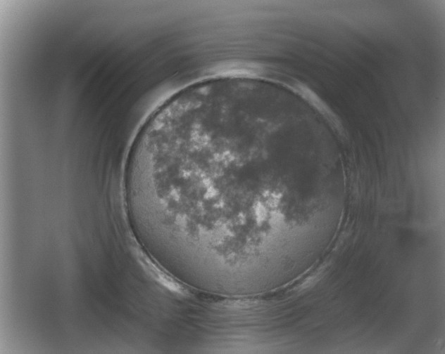 X0000067891240200604171329