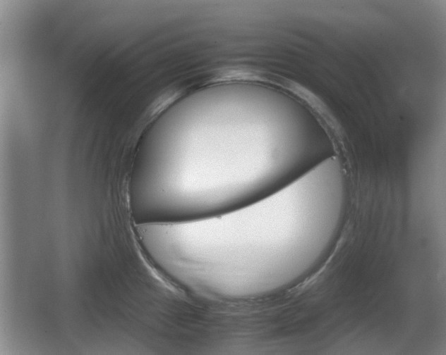 X0000067891241200604171329