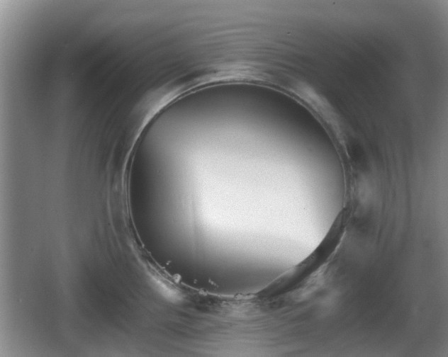 X0000067891242200604171329