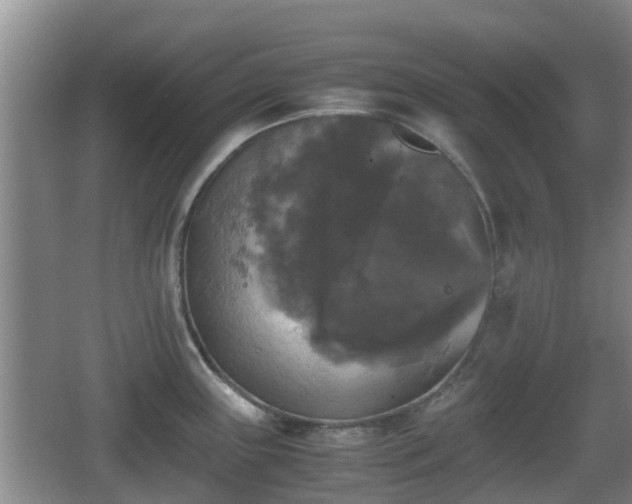 X0000067891243200604171329