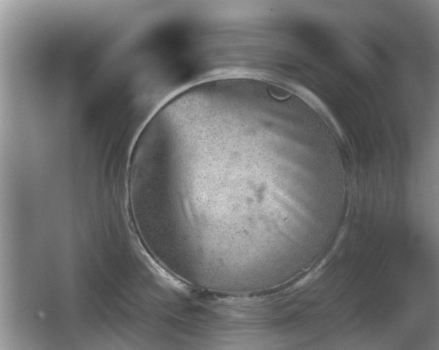 X0000067891244200604171329