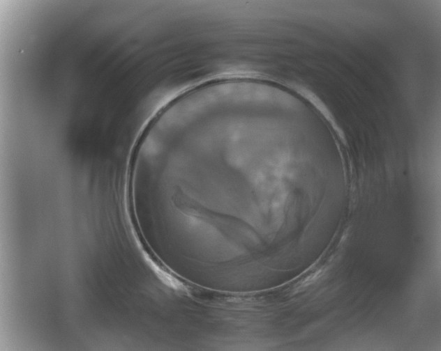 X0000067891245200604171329