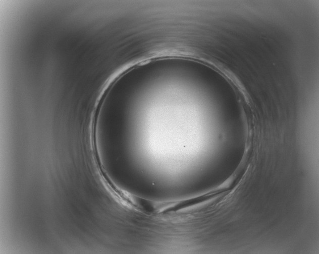 X0000067891246200604171329