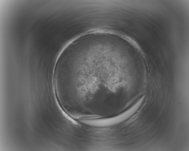 X0000067891247200604171329