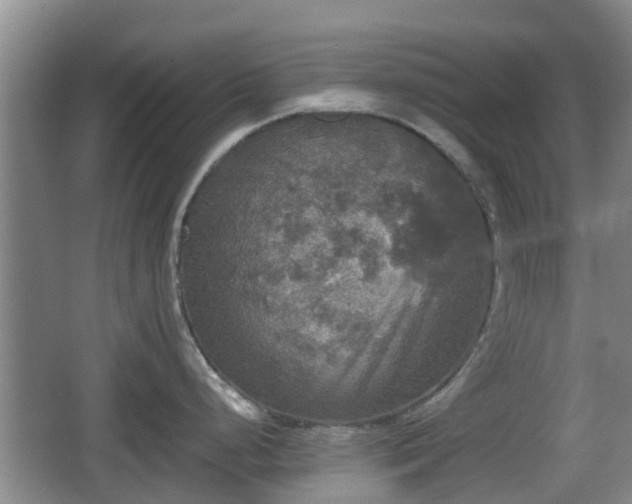 X0000067891248200604171329