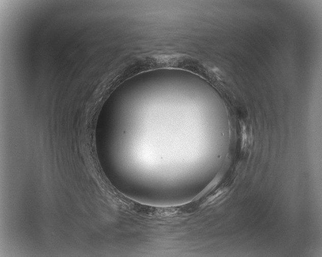 X0000067891249200604171328