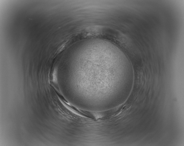 X0000067891250200604171328