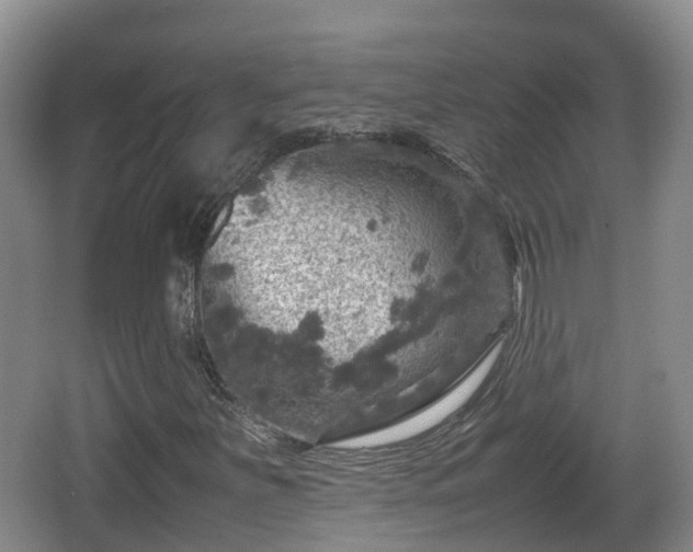 X0000067891251200604171328