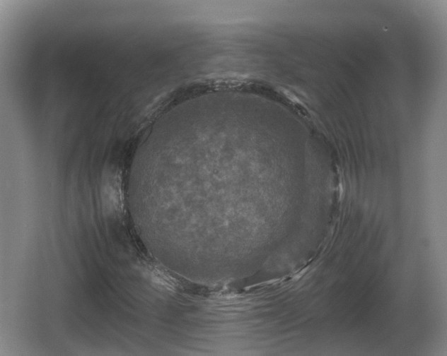 X0000067891252200604171328