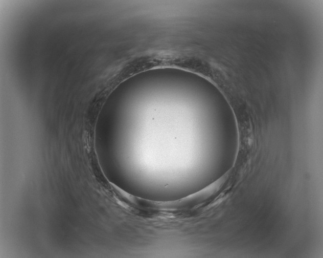 X0000067891253200604171328