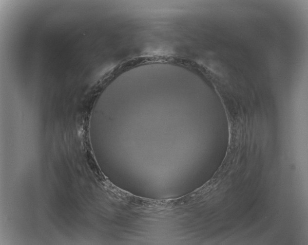 X0000067891254200604171328