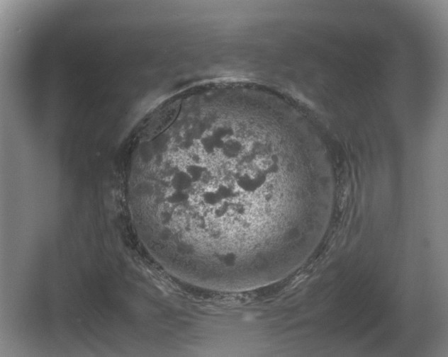 X0000067891255200604171328