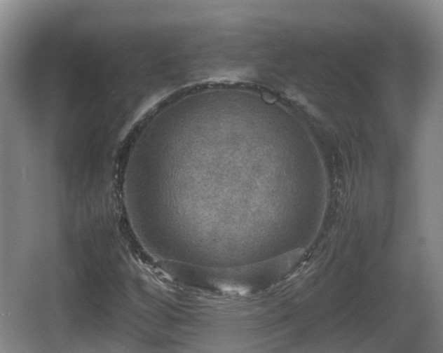 X0000067891256200604171328