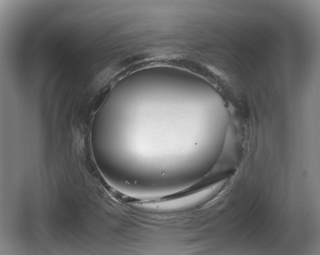 X0000067891257200604171328