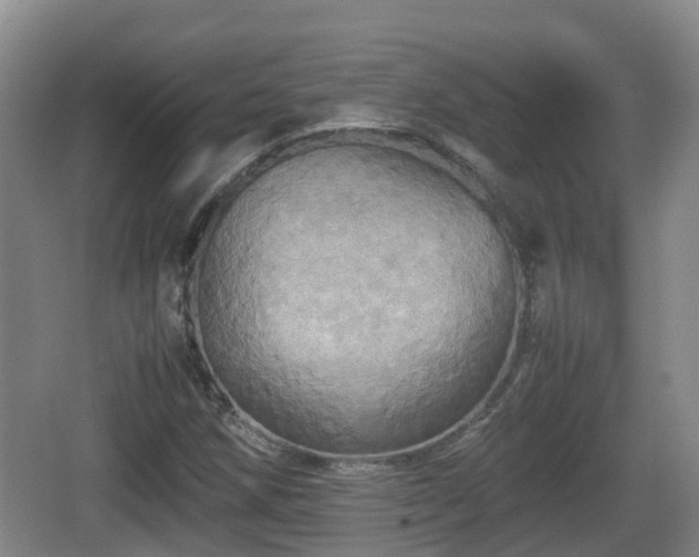 X0000067891258200604171328