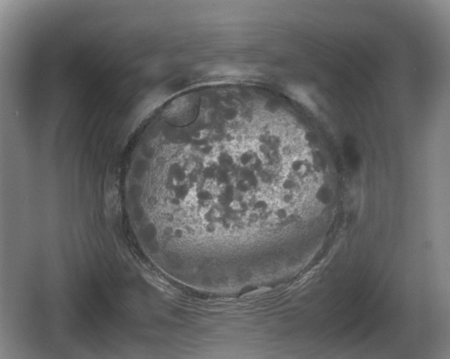 X0000067891259200604171328