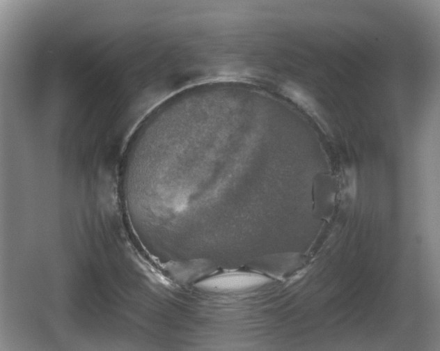 X0000067891260200604171328