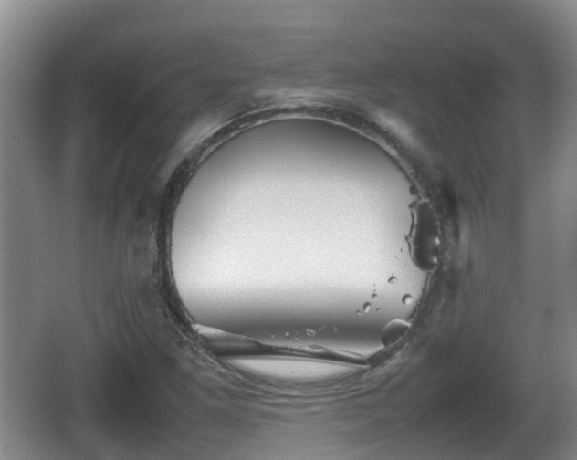 X0000067891261200604171328