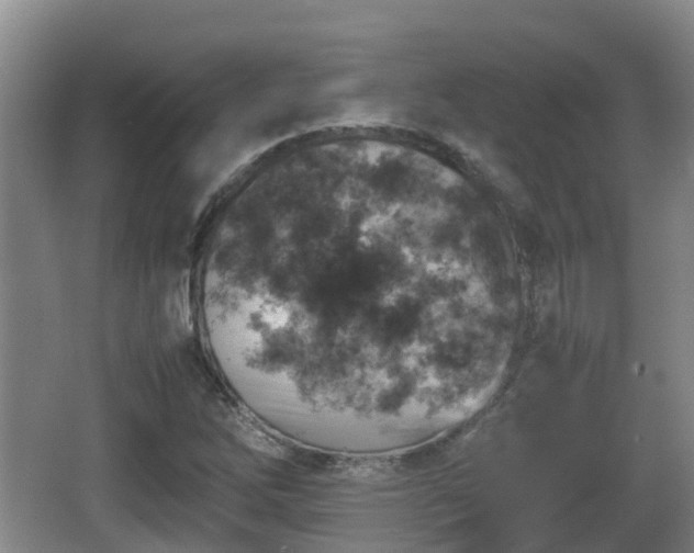 X0000067891262200604171328