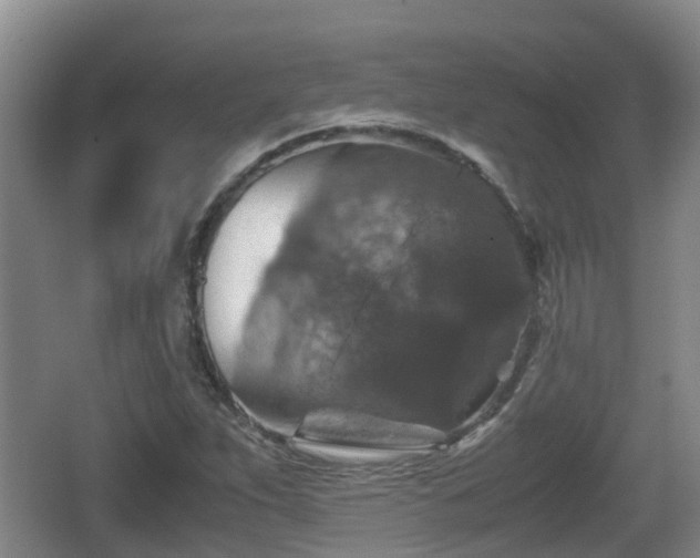 X0000067891263200604171328