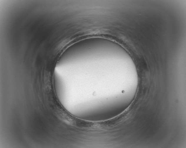 X0000067891265200604171328